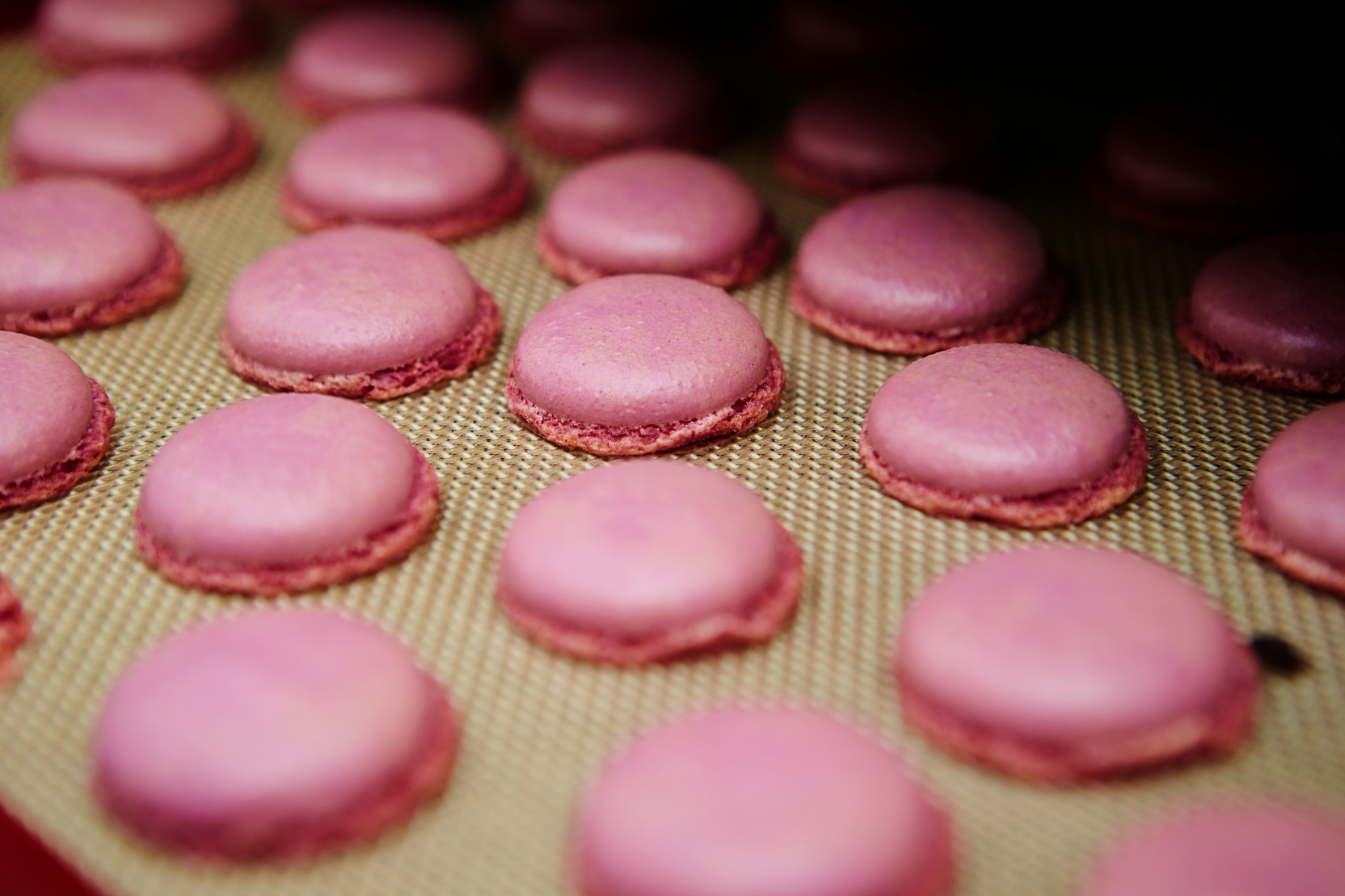 Making macaroon